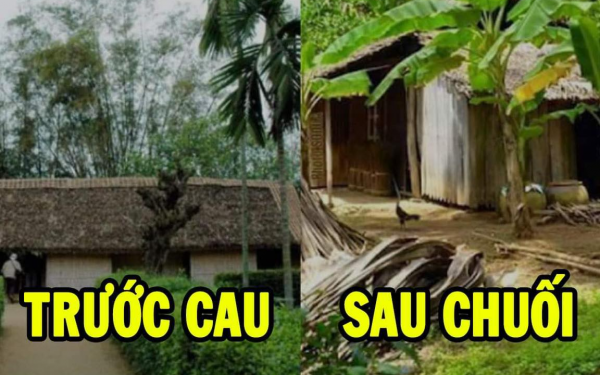 Tại sao người Việt xưa trồng cây trước nhà kiểu “trước cau sau chuối? Hóa ra đó là trí là tuệ uyên thâm